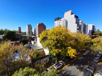 Zamudio 3000 (Villa del Parque )