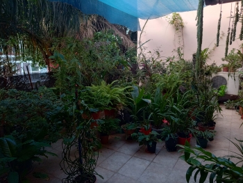 R E San Martin 2900 (Villa Santa Rita )